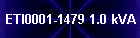 ETI0001-1479 1.0 kVA